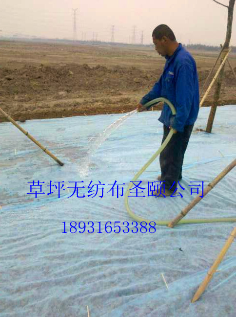 �G����·��ƺ�o(w��)�������a(ch��n)�S�����ӱ�����