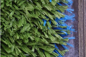 �����ƺ��(f��)�ϻ���