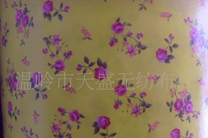 PP��Ĥ�o(w��)����