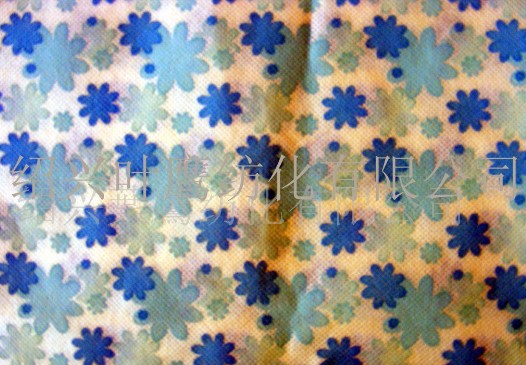 �o��ӡ����