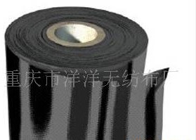 ����ϩ����Ĥ