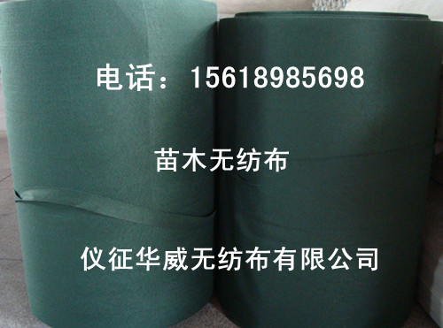 ��ľ�o����