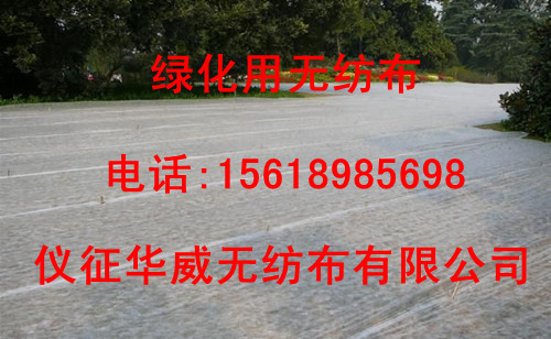 �G���ßo(w��)����