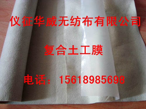 ��(f��)������Ĥ