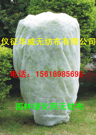  �@�־G���o����