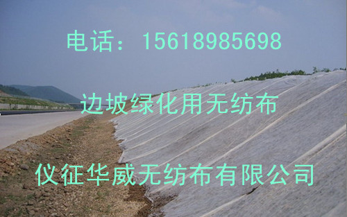 ߅�¾G���o���� �G���o����