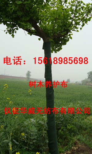 ��ľ�B(y��ng)�o(h��)�� �o(h��)�䲼 ���䲼