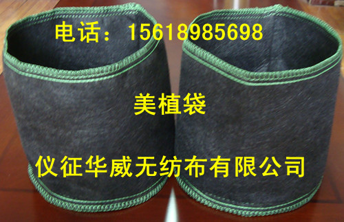 ��ֲ�� ֲ���