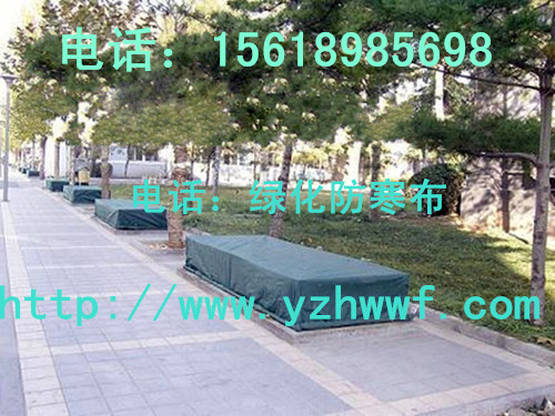 ������ ��ľ������ �G��������