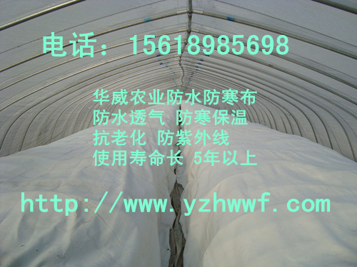 ��ˮ�o���� �r�I(y��)��ˮ������ �����ˮ����