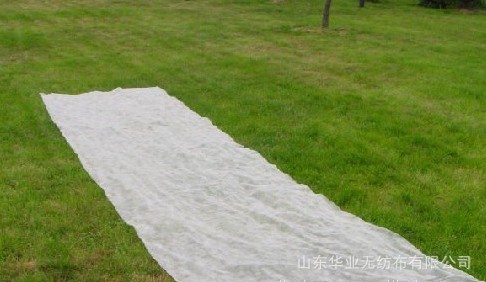 ����(y��ng)�r(n��ng)�ßo����