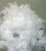 0.8D-1D���������]���w�S