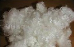 ��������(y��ng)���]���w�S