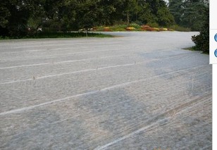 ����o����