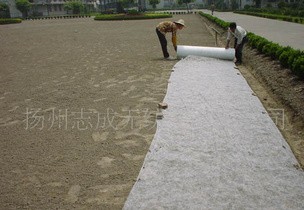 ����o(w��)����