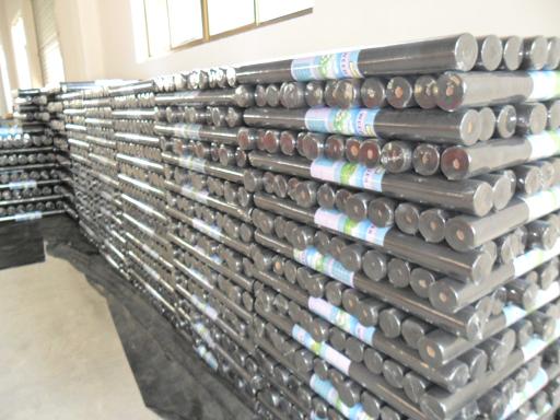 PP���]��ճ�o����